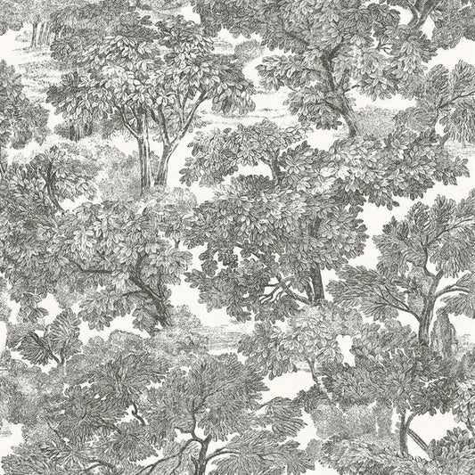 Purchase 3115-12542 Farmhouse Spinney Black Toile Black by Chesapeake Wallpaper