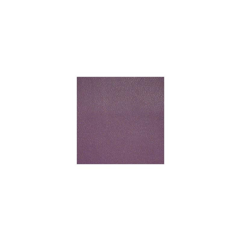 Sample EF1053 Esprit Purple Iris by Maxwell