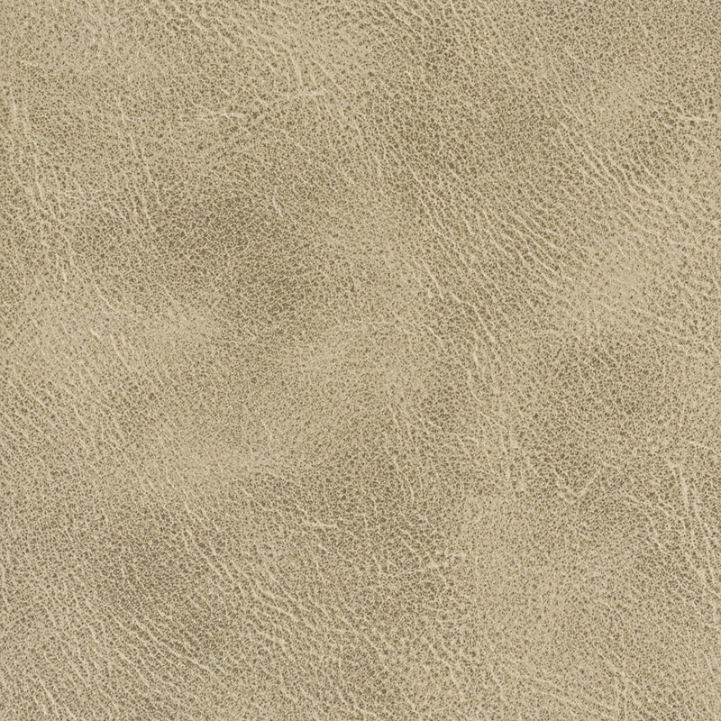 Sample Radn-1 Radnor 1 Toffee By Stout Fabric