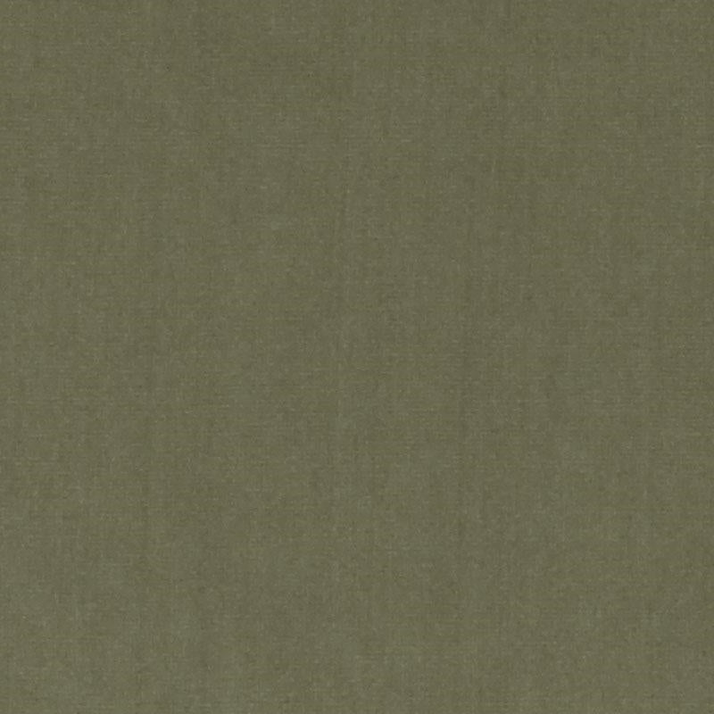 Dv15862-354 | Basil - Duralee Fabric