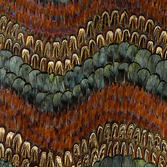 View 5003880 Biscayne Peacock & Pheasant Schumacher Wallpaper