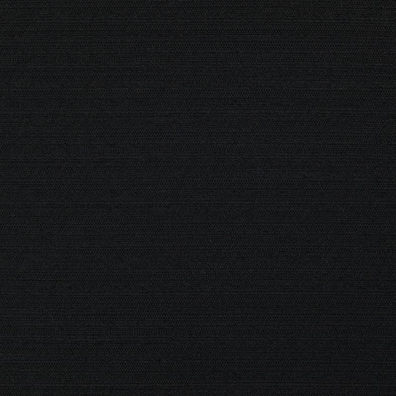 DI5740 | Darwin Onyx by Maxwell Fabric