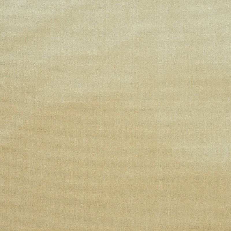 Purchase sample of 70422 Venetian Silk Velvet, Oyster by Schumacher Fabric