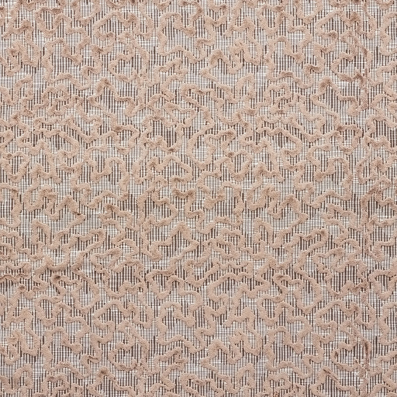 Purchase sample of 75221 Janis Velvet, Brown by Schumacher Fabric