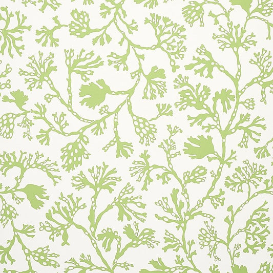 Save on 5012131 Anthoza Green Schumacher Wallcovering Wallpaper