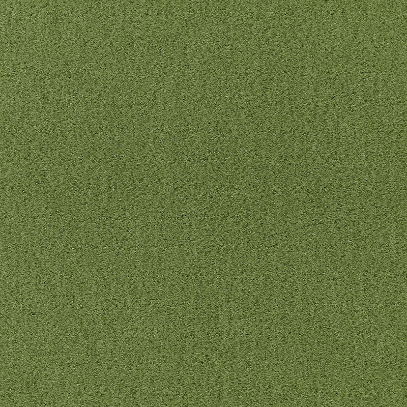 Looking 64937 Palermo Mohair Velvet Grass by Schumacher Fabric