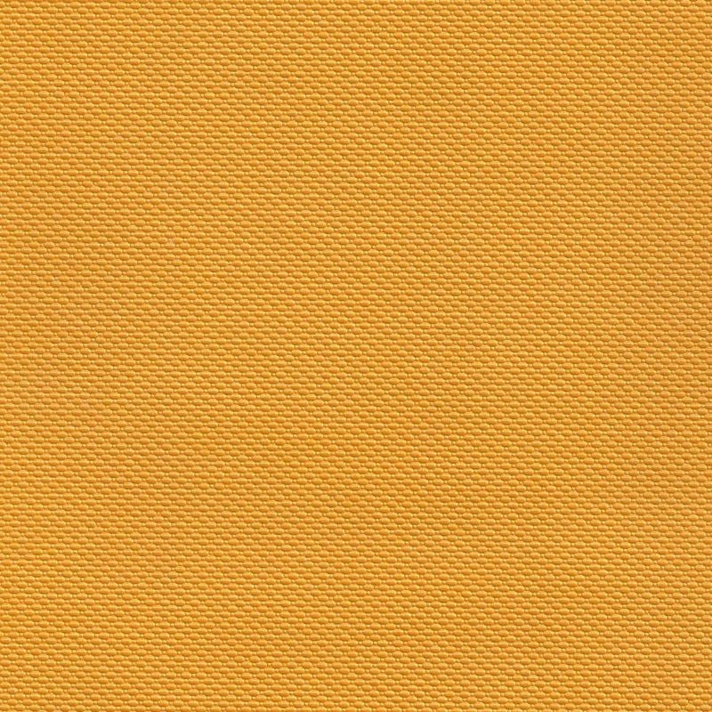 B5255 Trexx Metallic Nectar | Contemporary, Vinyl - Greenhouse Fabric