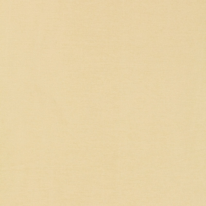 Purchase sample of 63841 Tiepolo Shantung Weave, Bone by Schumacher Fabric