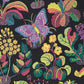 Find 176182 Exotic Butterfly Black by Schumacher Fabric