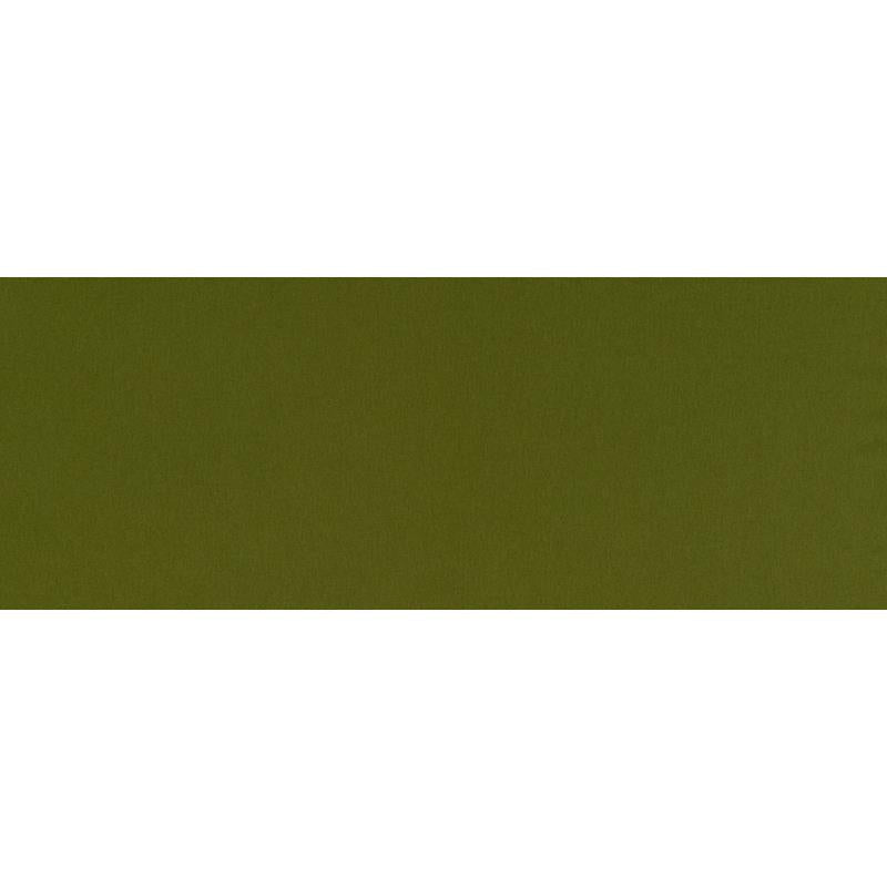 517800 | Chelan Falls | Fern - Robert Allen Contract Fabric