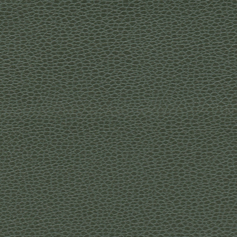 Purchase sample of 363-4516 Promessa, Hunter by Schumacher Fabric