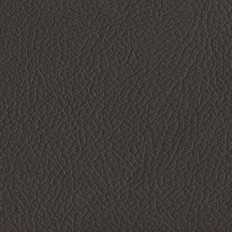 Purchase sample of 303-3023 Brisa, Coffee Bean by Schumacher Fabric