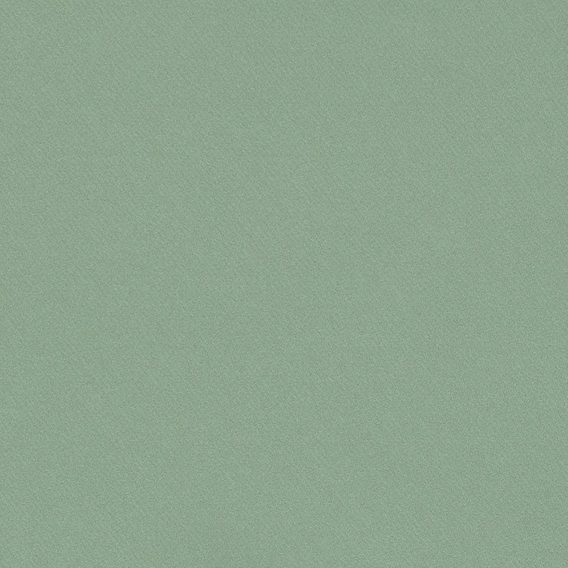 Purchase sample of 69568 Blake, Sage by Schumacher Fabric