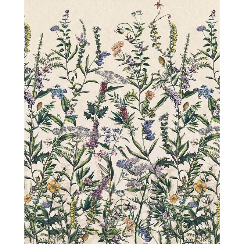 X4-1011 Colours  Flowering Herbs Wall Mural by Brewster,X4-1011 Colours  Flowering Herbs Wall Mural by Brewster2