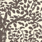 Sample 2030-05WP Arbre De Matisse, Brown on Off white by Quadrille Wallpaper