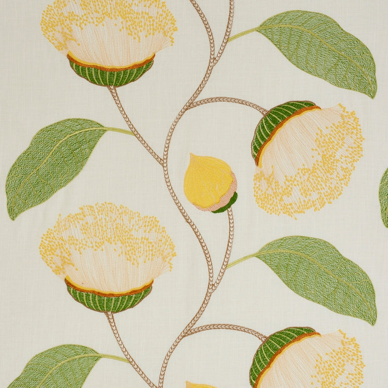 Purchase sample of 78300 Celinda Embroidery, Yellow by Schumacher Fabric