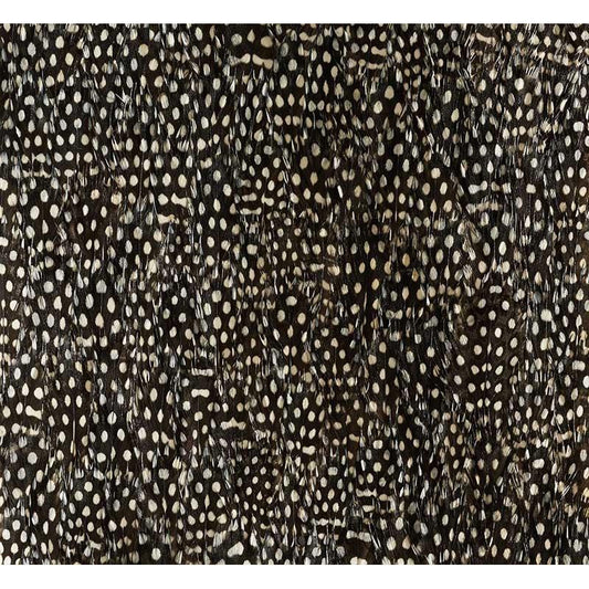 Buy 5008379 Zinc Black & White Schumacher Wallpaper