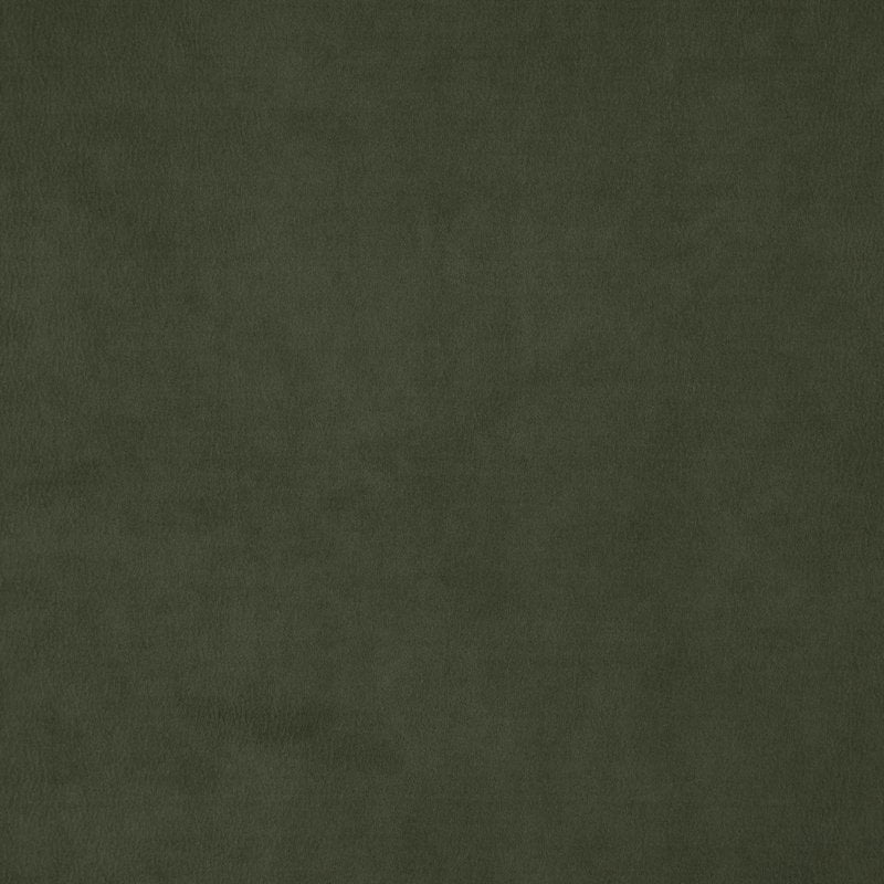 Sample WISDOM 77J7531 by JF Fabric