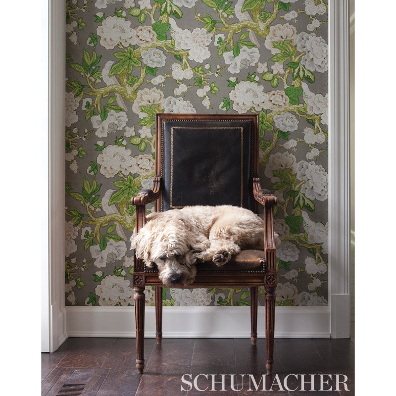 Purchase 5010521 Bermuda Blossoms Slate Schumacher Wallpaper
