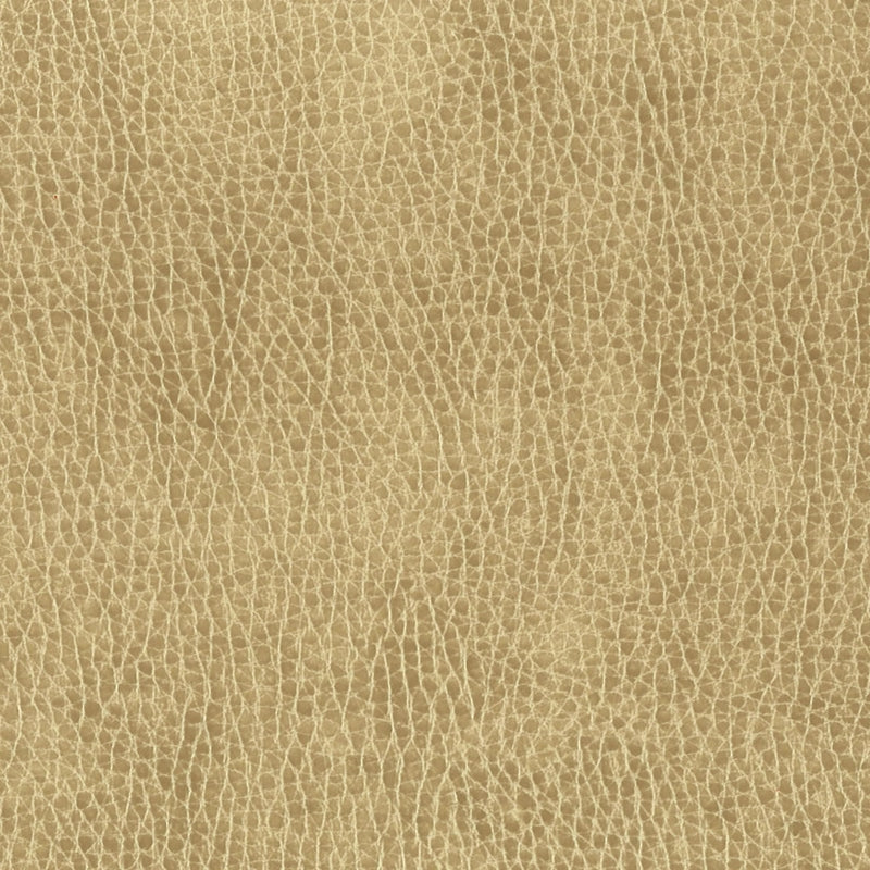 Sample MADD-9 Toast by Stout Fabric