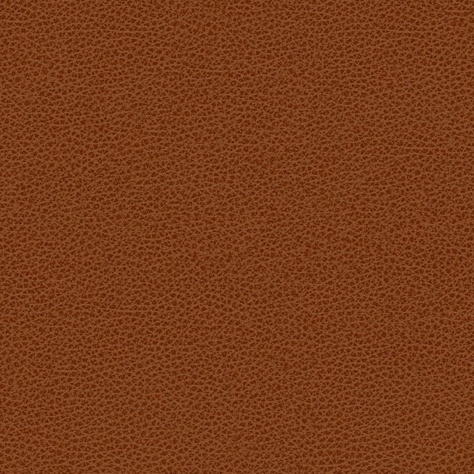 Purchase BESS.24.0  Solids/Plain Cloth Rust by Kravet Contract Fabric
