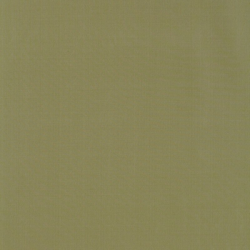 Purchase sample of 63913 Masaccio Taffeta, Herb by Schumacher Fabric