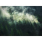 X7-1003 Colours  Misty Crowns Wall Mural by Brewster,X7-1003 Colours  Misty Crowns Wall Mural by Brewster2