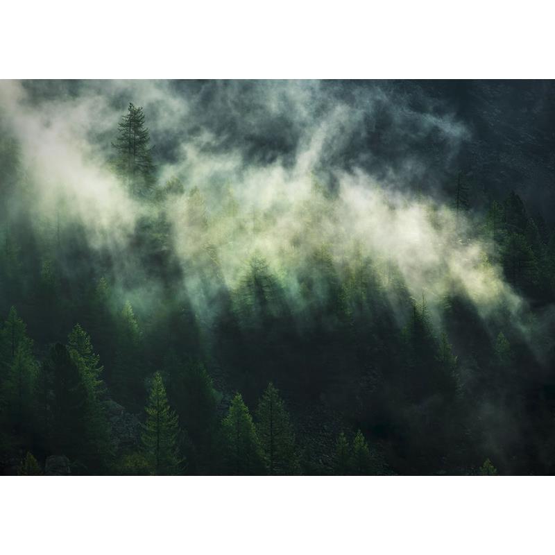 X7-1003 Colours  Misty Crowns Wall Mural by Brewster,X7-1003 Colours  Misty Crowns Wall Mural by Brewster2