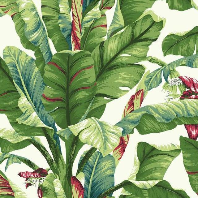 Order AT7068 Ashford Tropics Banana Leaf  color white leaf Ashford House Wallpaper