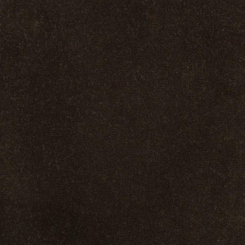 Find 35366.666.0  Solids/Plain Cloth Brown by Kravet Design Fabric