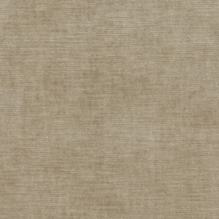Purchase ED85292-230 Meridian Velvet Oatmeal Solid by Threads Fabric