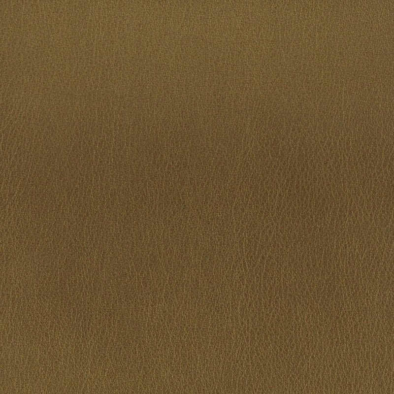 Sample ROUL-1 Bronze by Stout Fabric