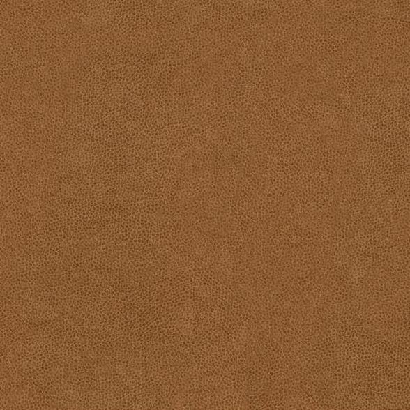 Looking ABILENE.1616.0 Abilene Biscuit Skins Brown by Kravet Contract Fabric