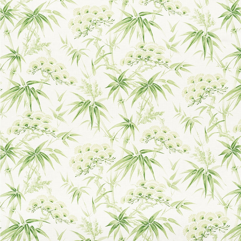 Purchase sample of 177041 Arita Floral, Leaf by Schumacher Fabric