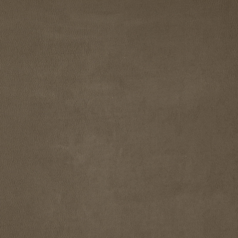 Sample WISDOM 35J7531 by JF Fabric