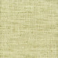 Sample STAF-13 Apple by Stout Fabric