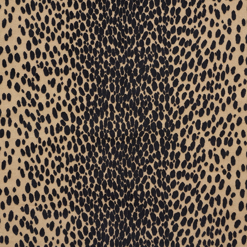 Purchase sample of 73913 Cheetah Velvet, Ebony by Schumacher Fabric