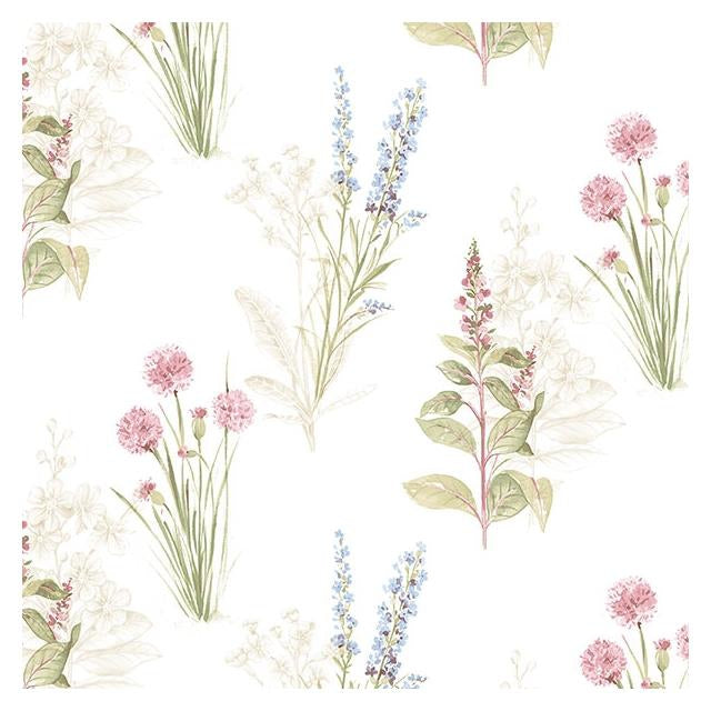 Order AB42445 Flourish (Abby Rose 4) Neutral Flora Wallpaper in Cream Blues & Pink by Norwall Wallpaper