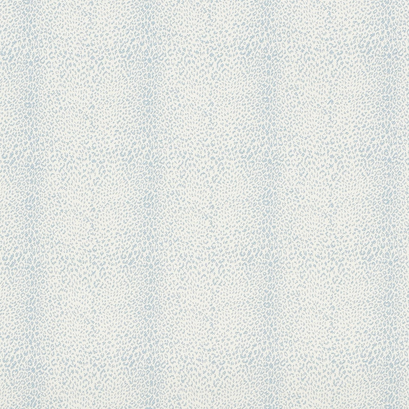 Purchase sample of 75432 Mini Leopard Outdoor, Sky by Schumacher Fabric