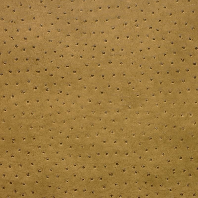 Shop SENNA.4 Kravet Design Upholstery Fabric