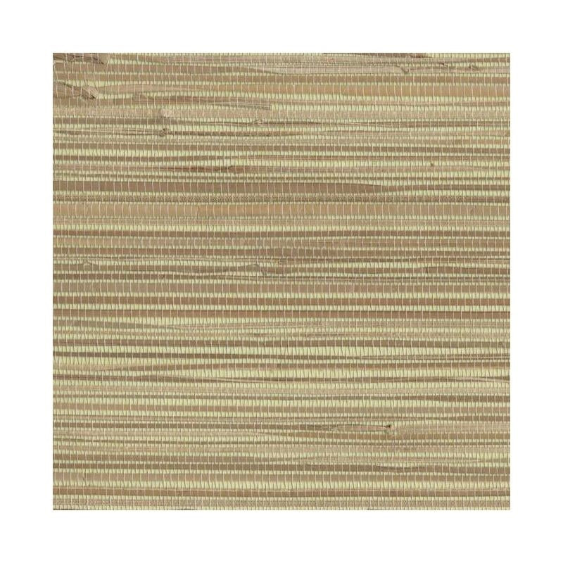 Sample NZ0787 Grasscloth York, RIVER GRASS color Beiges Grasscloth by York Wallpaper