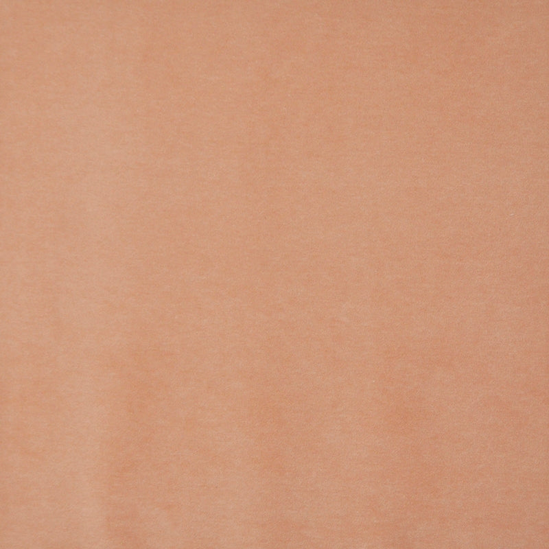 SIE419 | Snug Soft Orange by Maxwell Fabric