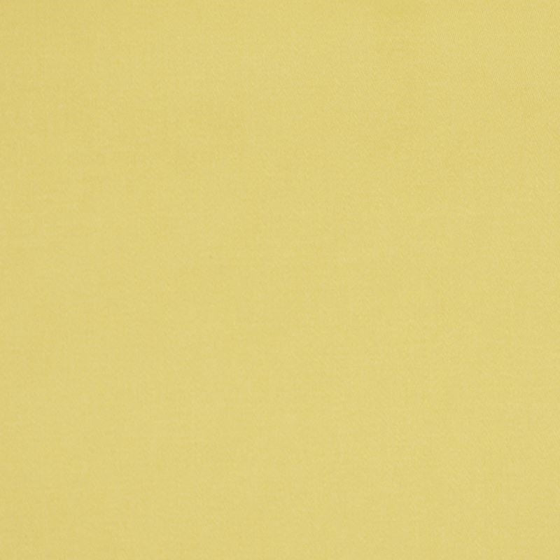 025784 | Lustre Sheen Daffodil - Robert Allen