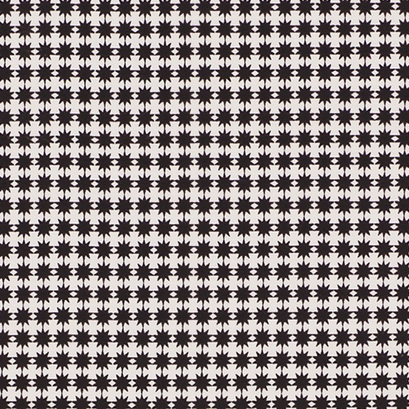 Purchase sample of 176571 Stella Ii, Black by Schumacher Fabric
