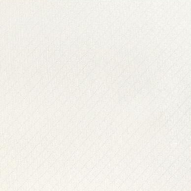 View 2021112.1116 Mesa Sheer Ivory Solid by Lee Jofa Fabric