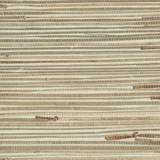 Shop NZ0781 Grasscloth York SEA GRASS color Browns Grasscloth by York Wallpaper