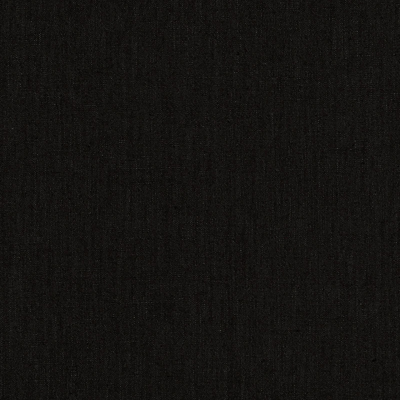 Purchase sample of 69341 Lange, Noir by Schumacher Fabric