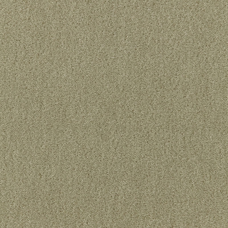 Purchase sample of 64931 Palermo Mohair Velvet, Lichen by Schumacher Fabric