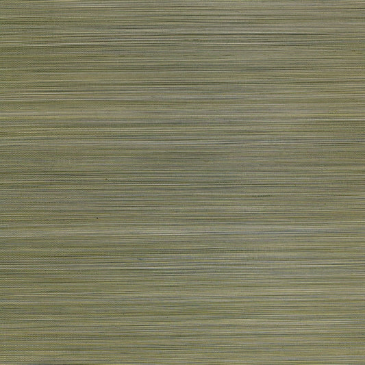 Purchase 5006401 Zen Bamboo Sage Schumacher Wallpaper