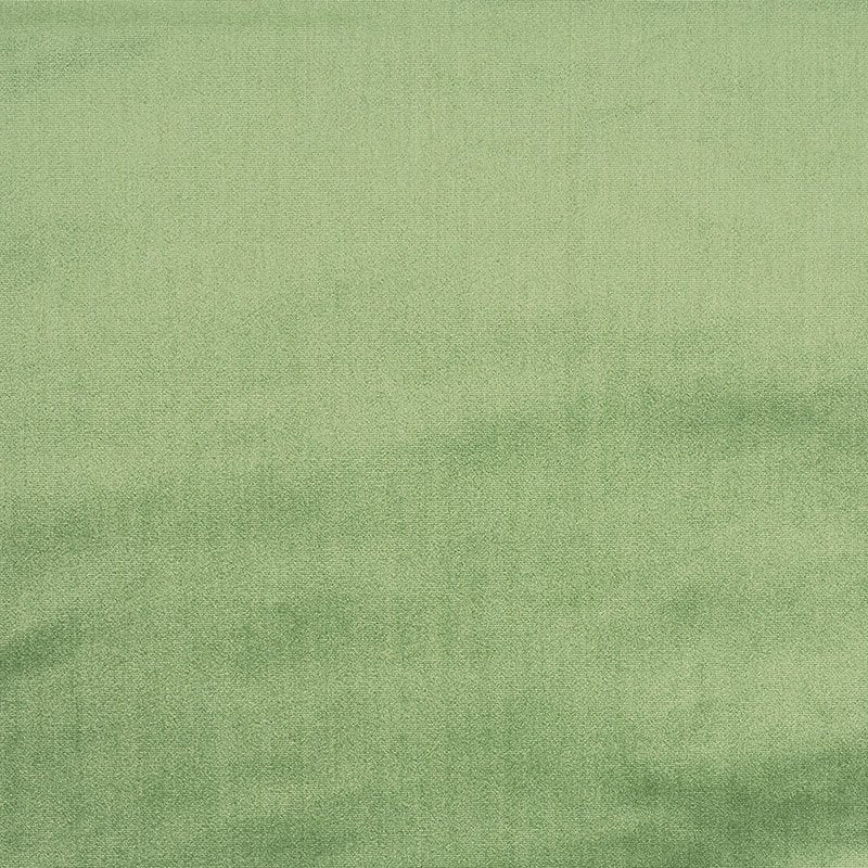 Purchase sample of 70437 Venetian Silk Velvet, Aloe by Schumacher Fabric